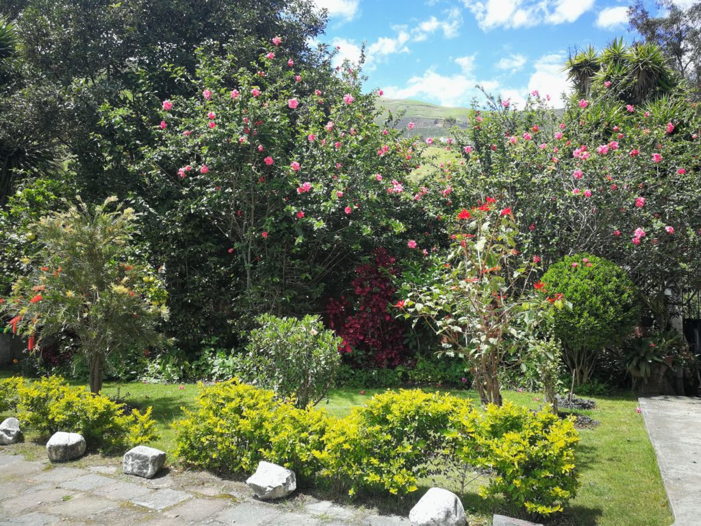 Schöne Gärten in Killa Wasi